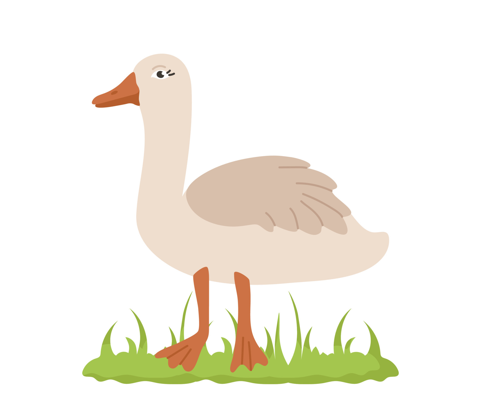 Cute goose in cartoon style. Vector character of a bird from a farm  isolated on a white background. 10820121 Vector Art at Vecteezy
