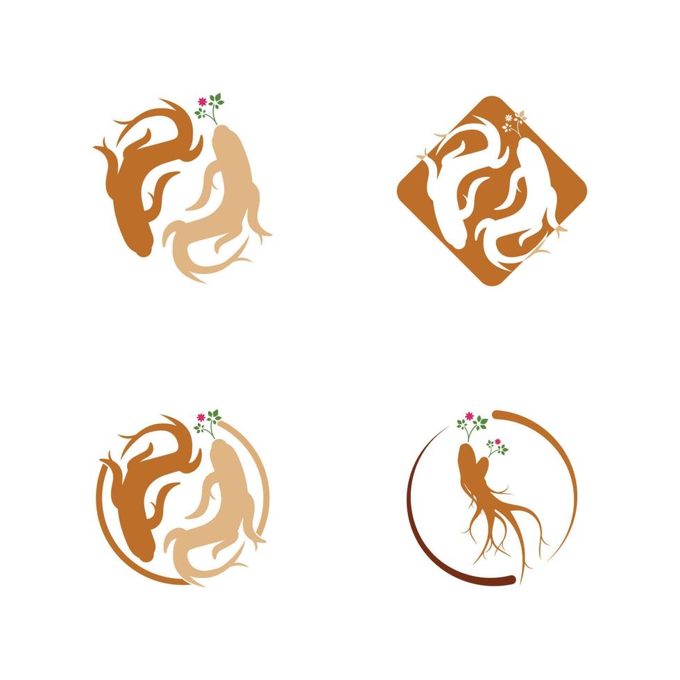 Ginseng vector icon illustration design template