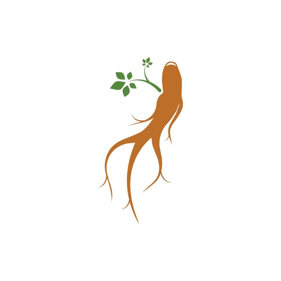 plantilla de diseño de ilustración de icono de vector de ginseng