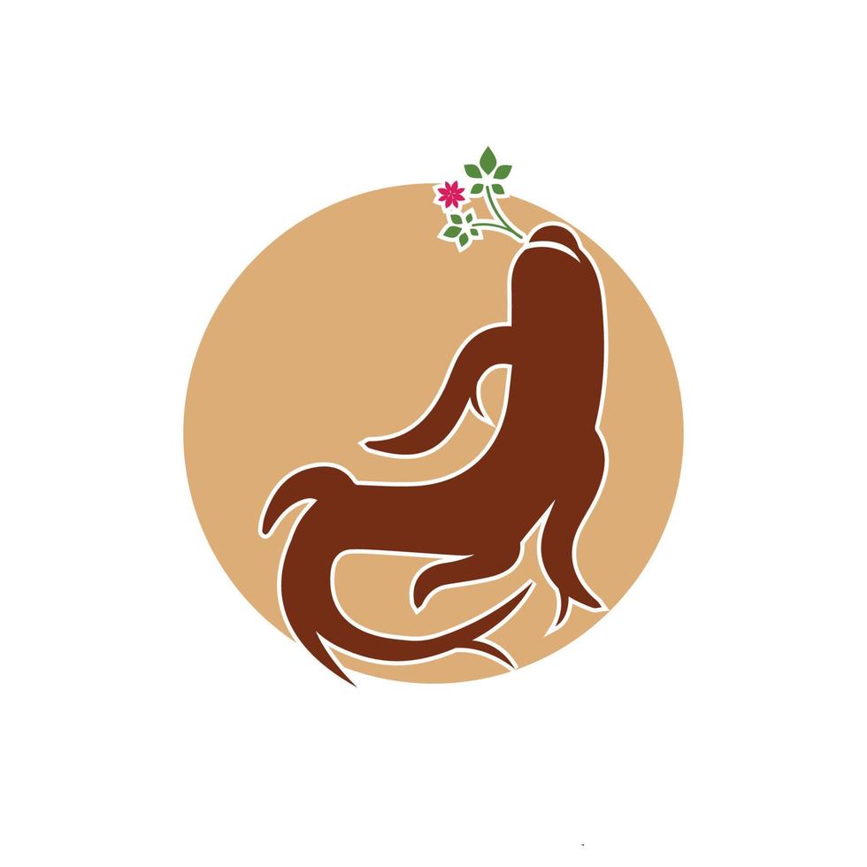 plantilla de diseño de ilustración de icono de vector de ginseng