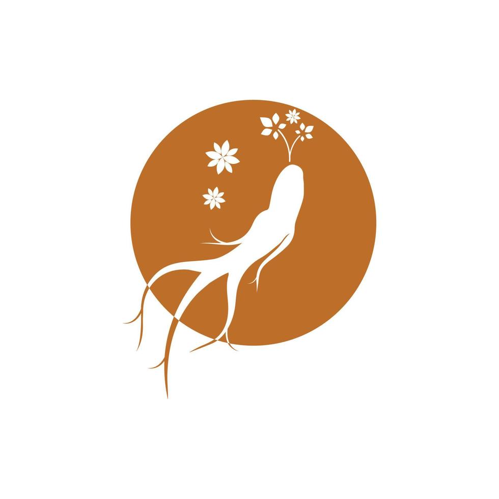 Ginseng vector icon illustration design template