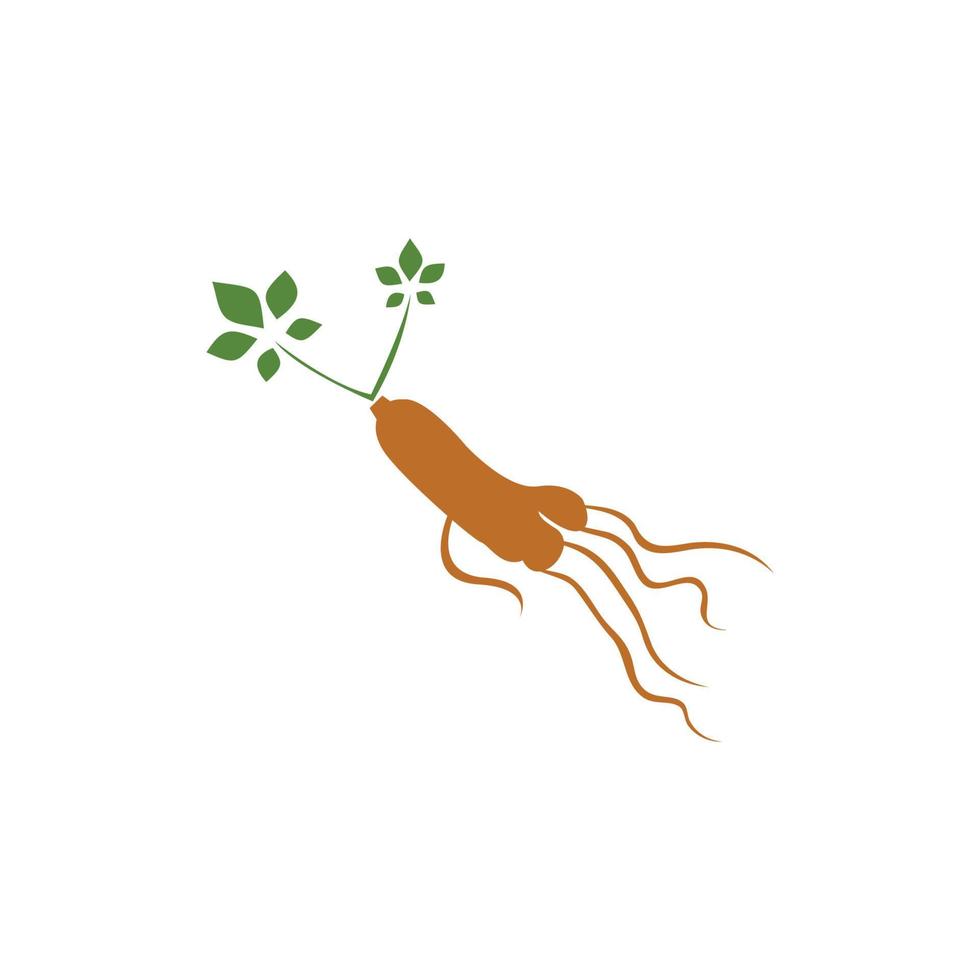 plantilla de diseño de ilustración de icono de vector de ginseng