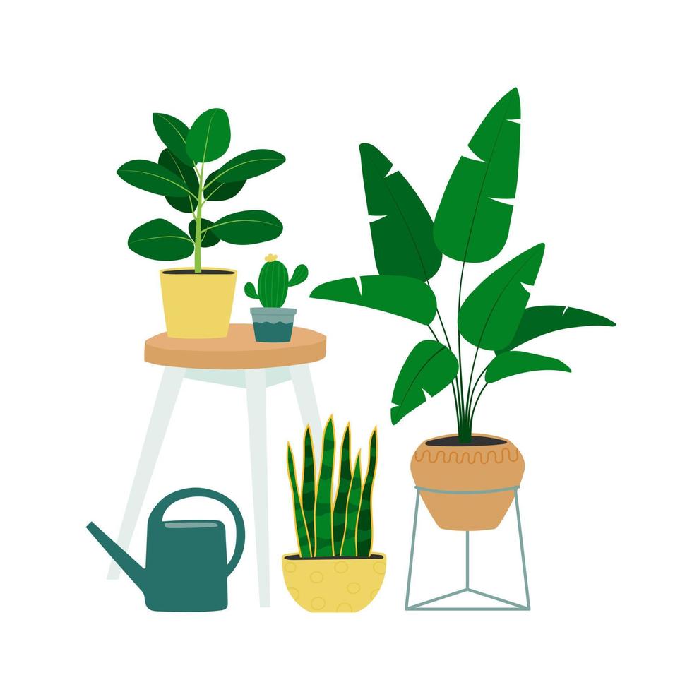 Interior design with table, watering can and houseplants. Trendy composition with home decorations vector