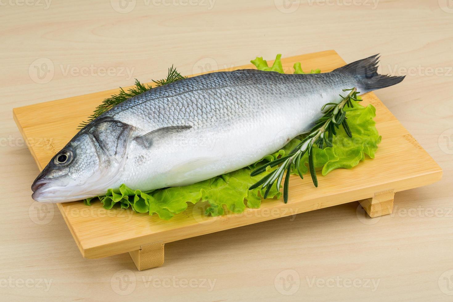 Raw whole seabass photo