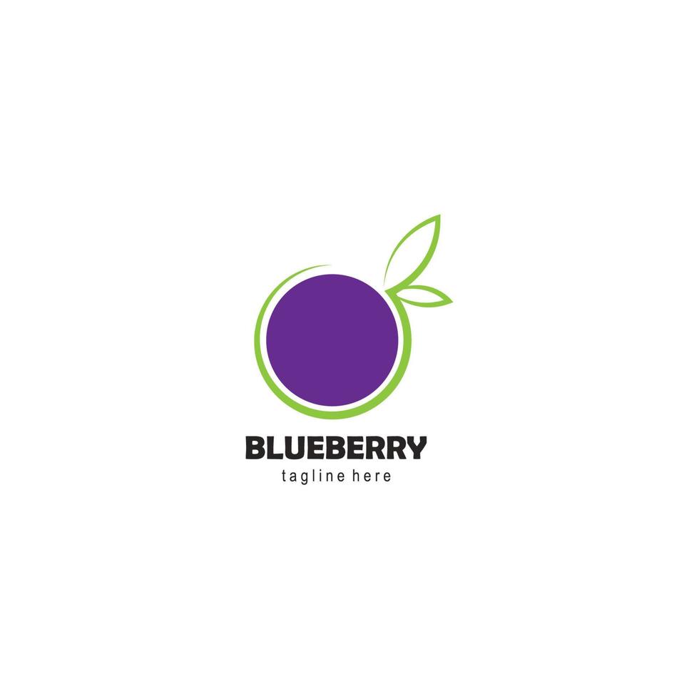 blueberry logo. vector illustration template design.