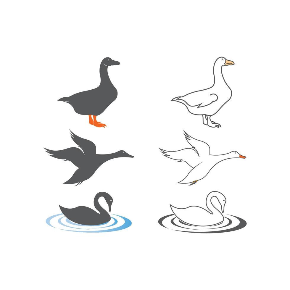 diseño de símbolo de ilustración de vector de logotipo de cisne.