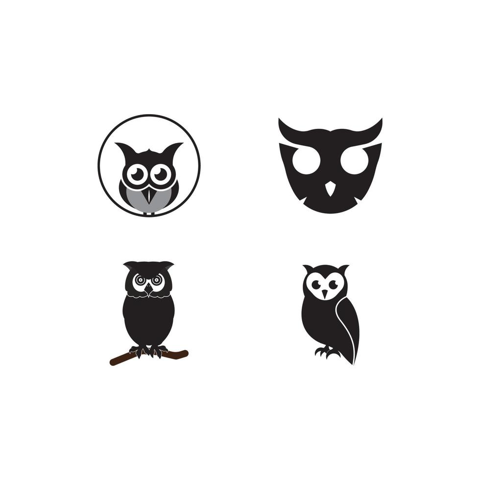 owl logo  vector illustration template design.