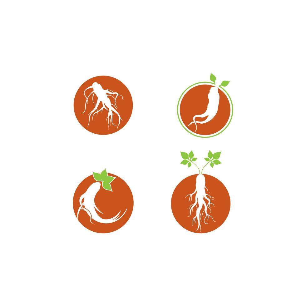 Ginseng icon  vector illustration template design