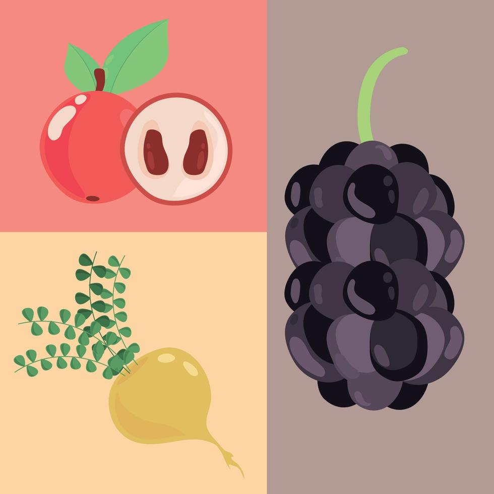 set of superfoods vector