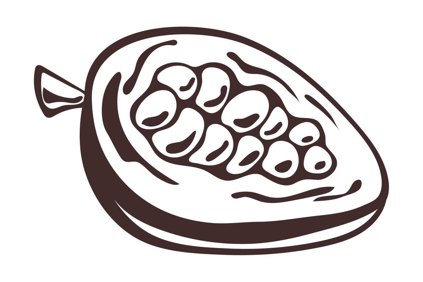 cacao sketch design vector