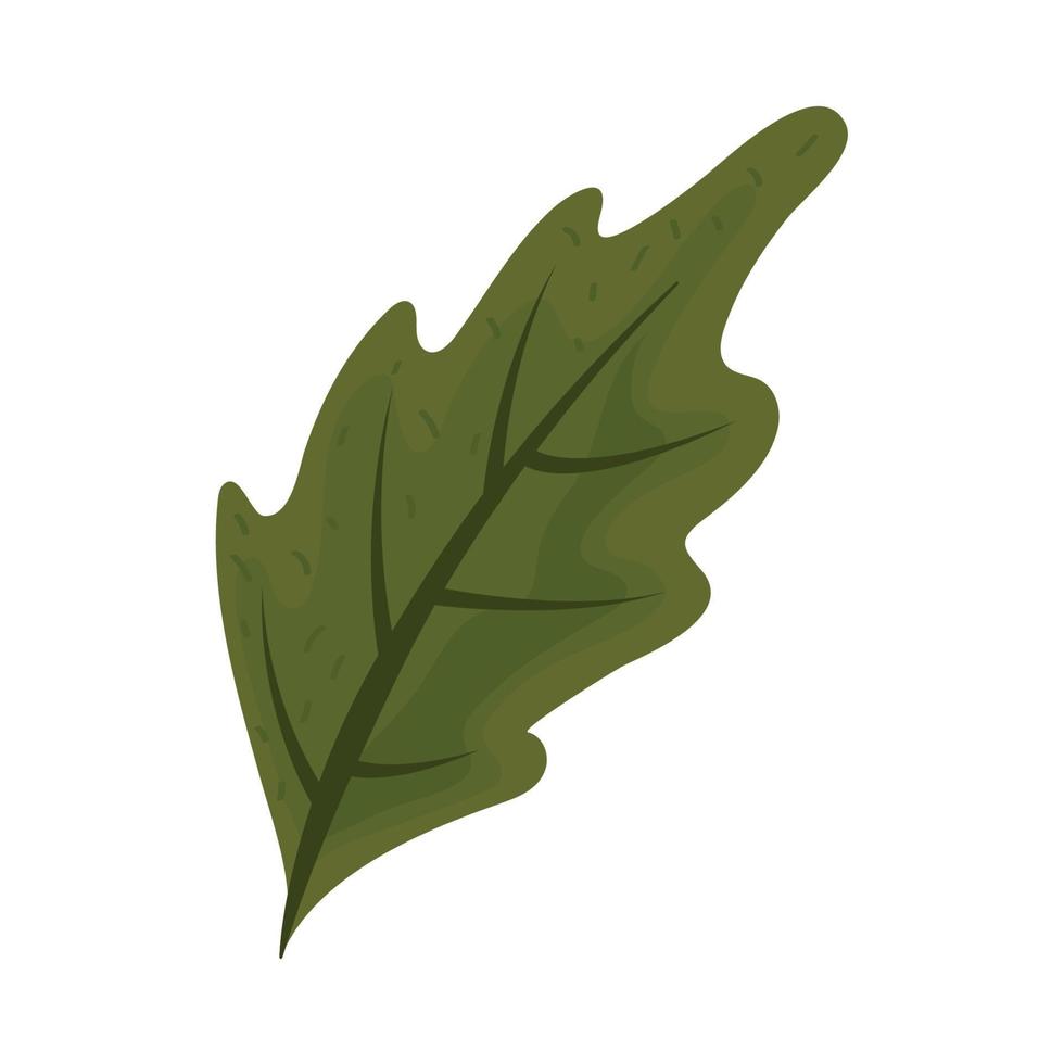 leaf flat icon vector