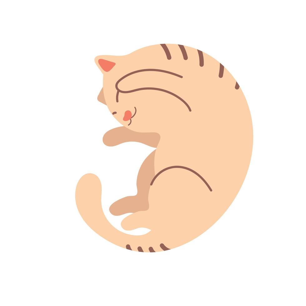 cute cat pet vector