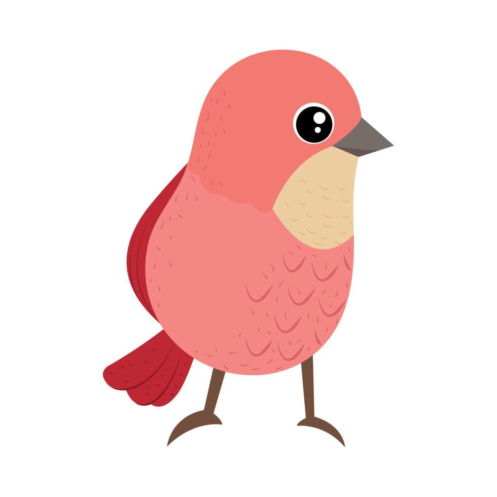 lindo pájaro rosa vector