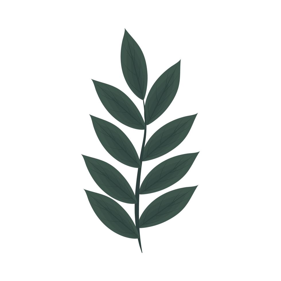 foliage branch icon vector