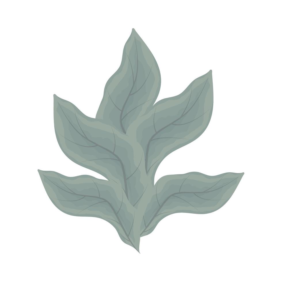 leaves foliage icon vector