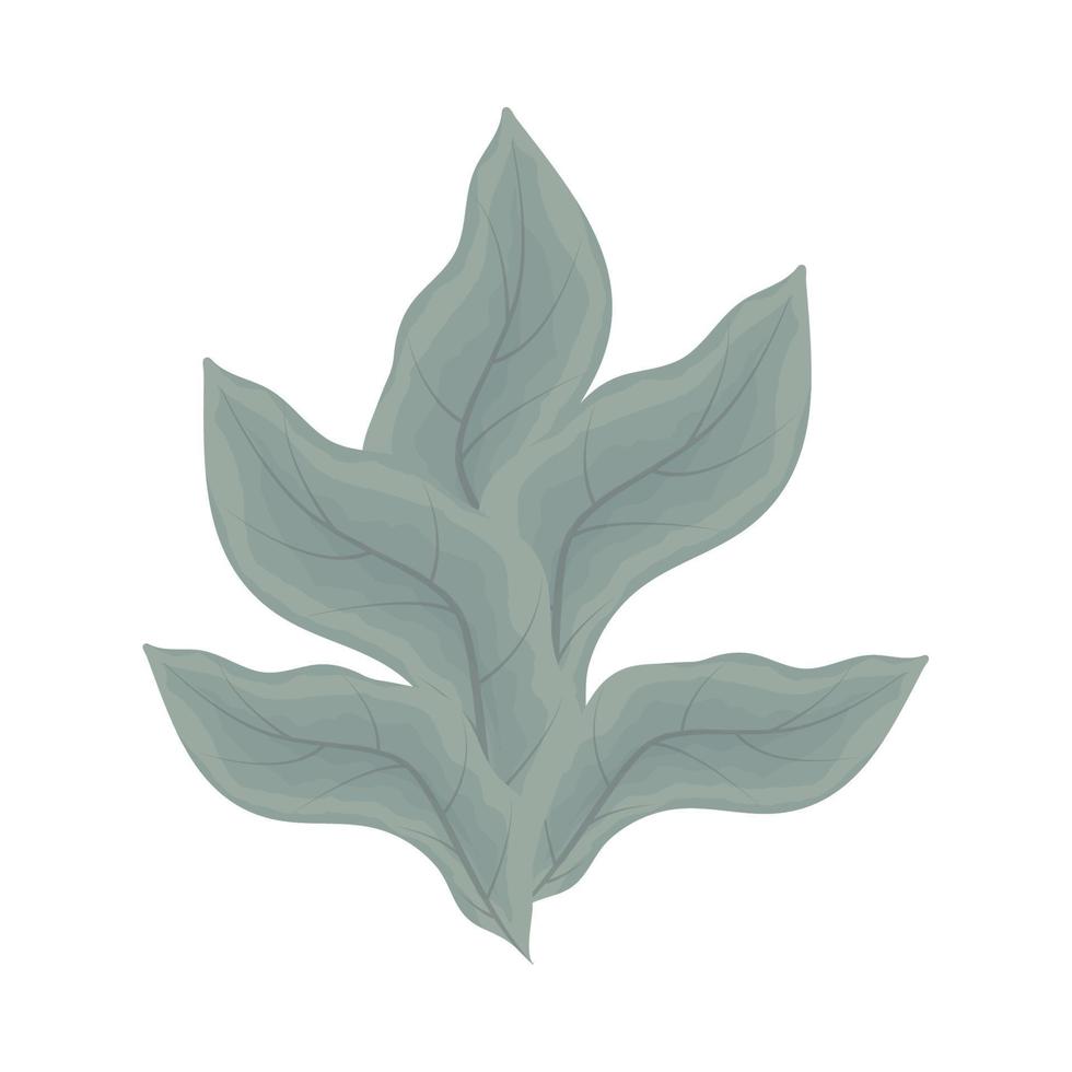 leaves foliage icon vector