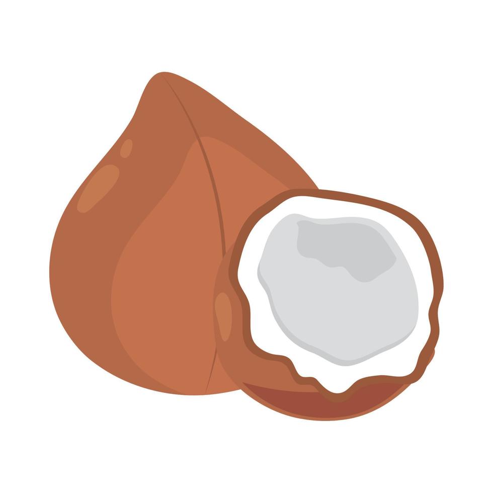 coconut fruit icon vector