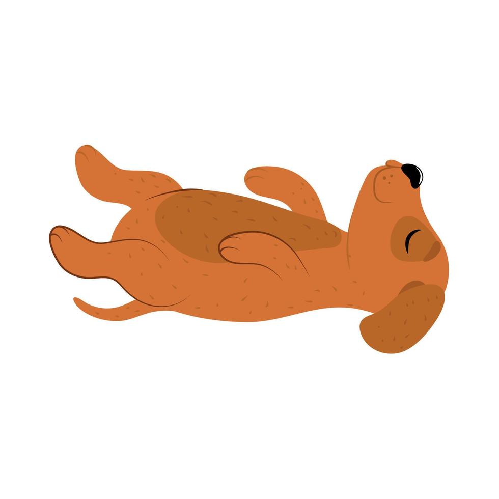 cute dog lying floor vector