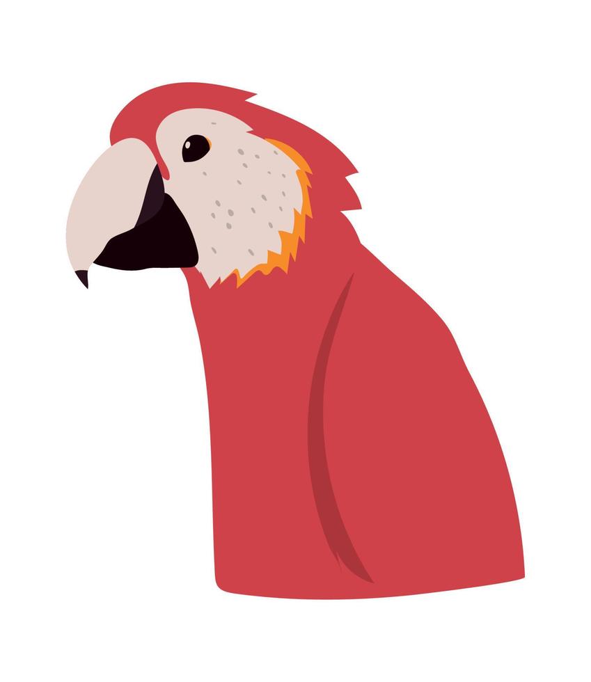 macaw bird icon vector