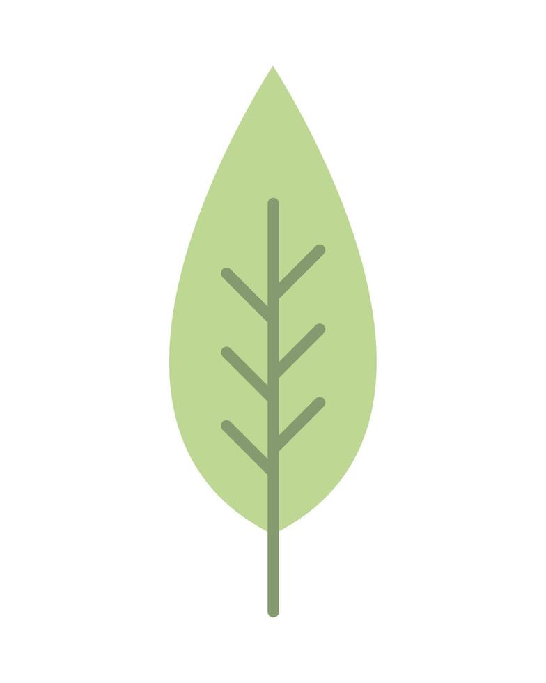 leaf nature icon vector