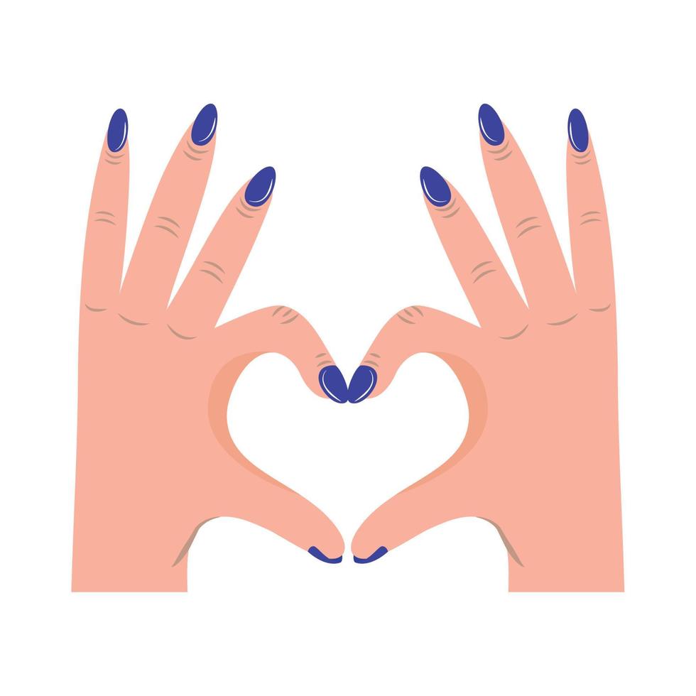 female hands making heart vector