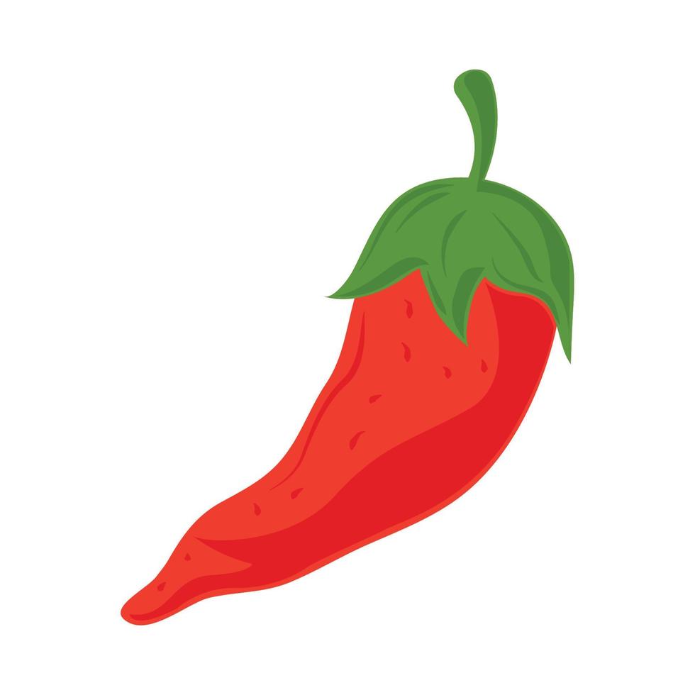 chili pepper icon vector