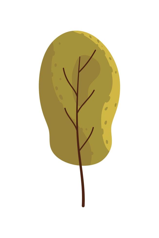 planta de verdor de árbol vector