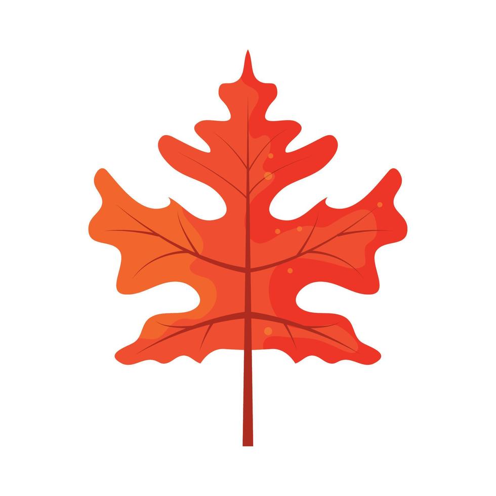 autumn leaf foliage vector