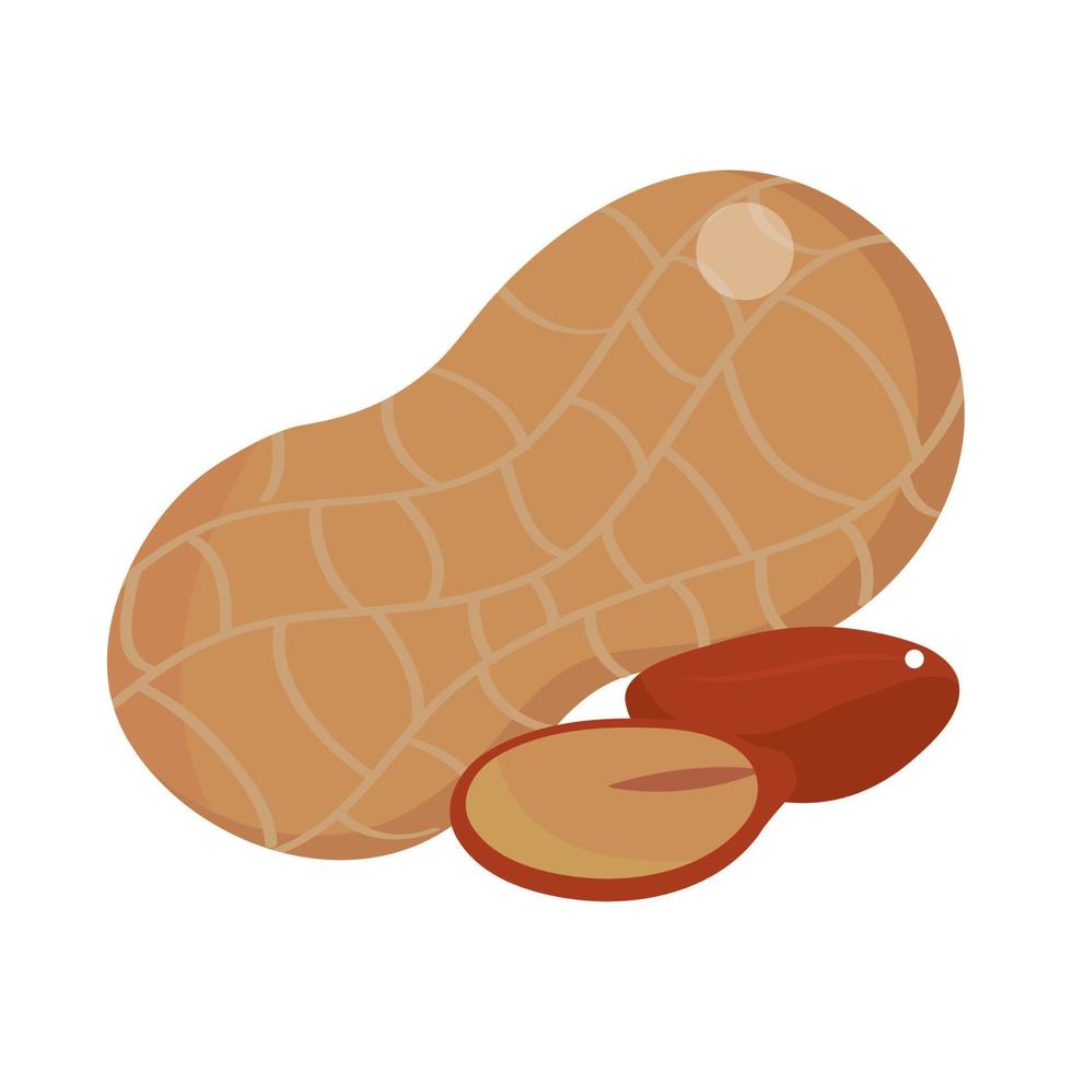 icono de pistachos aislado vector