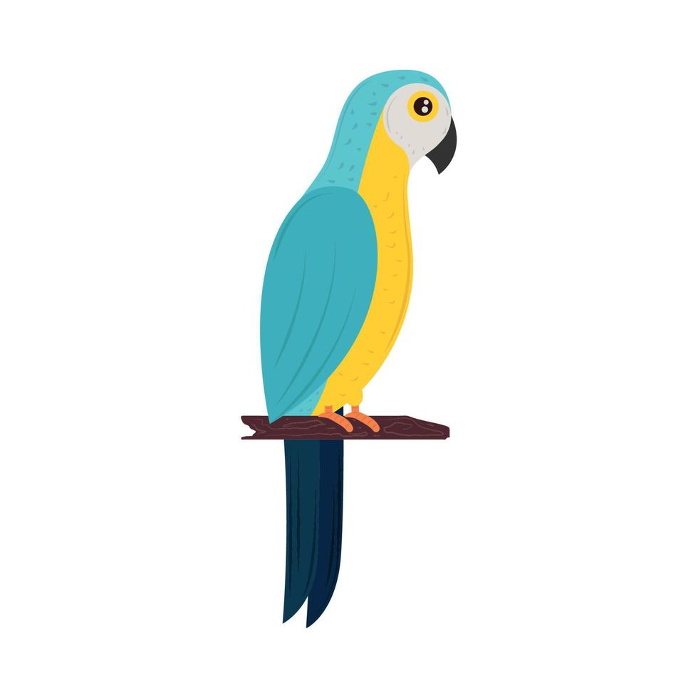 macaw on branch vector