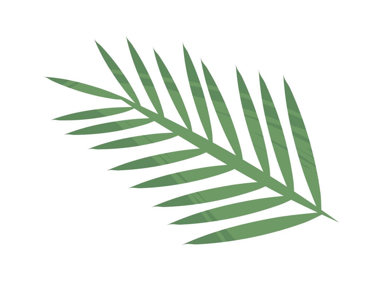 tropical branch icon vector