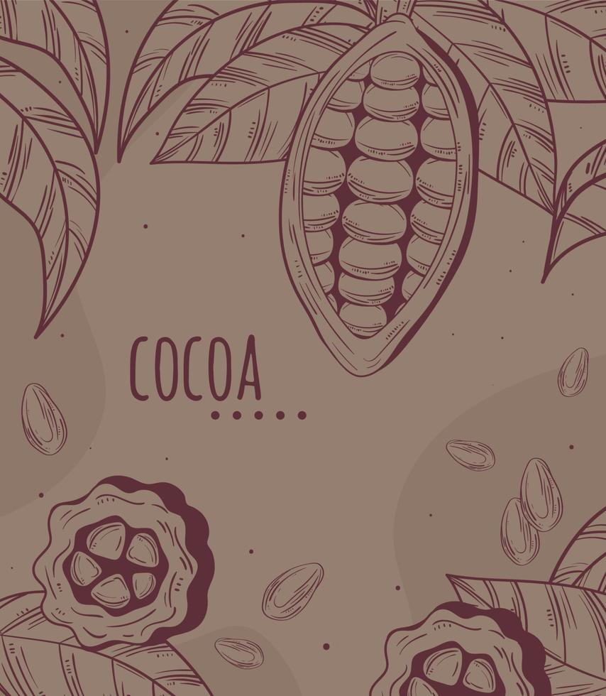 semillas de cacao y cacao vector