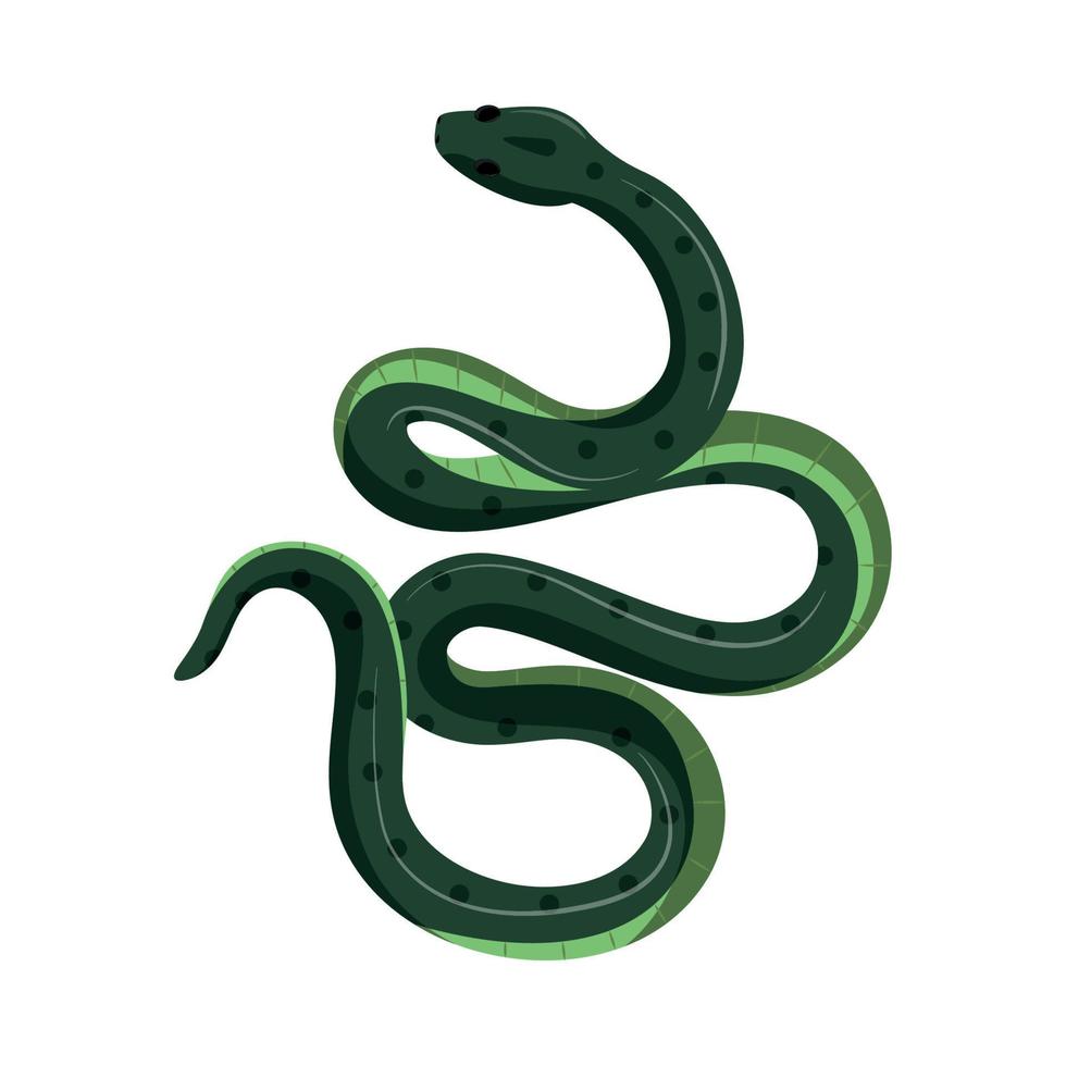 reptil serpiente verde vector