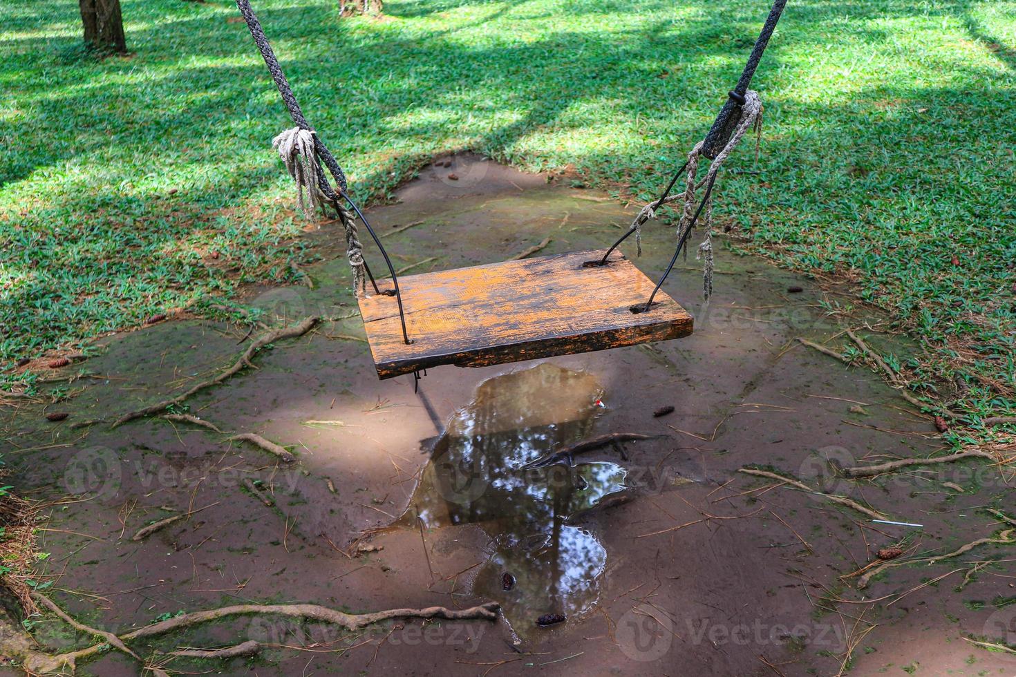 Empty rustic wooden swing hanging by rope on large live pine tree trunk in the indonesian pine forest looking serene peaceful calm relaxing beautiful photo