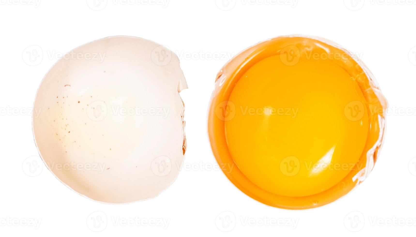 separated egg yolk in shell and empty shell photo