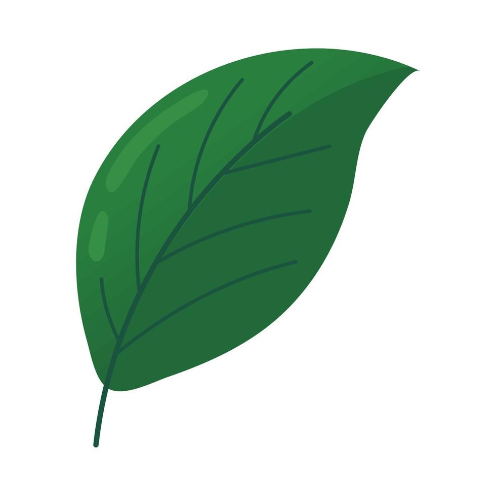 leaf plant icon vector