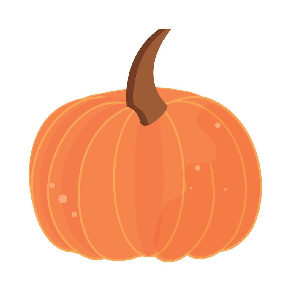 pumpkin icon isolated vector