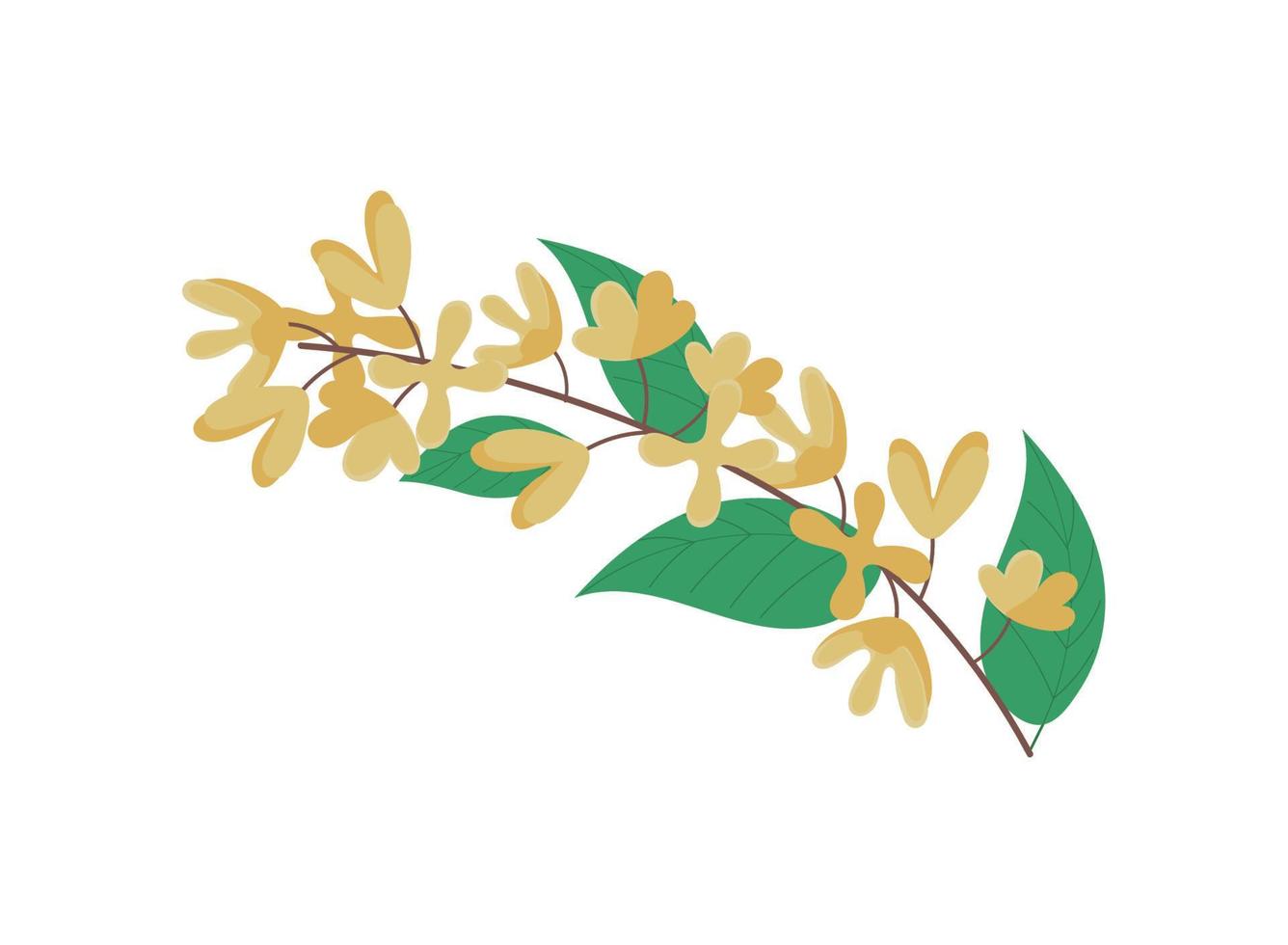 flower and leaves vector