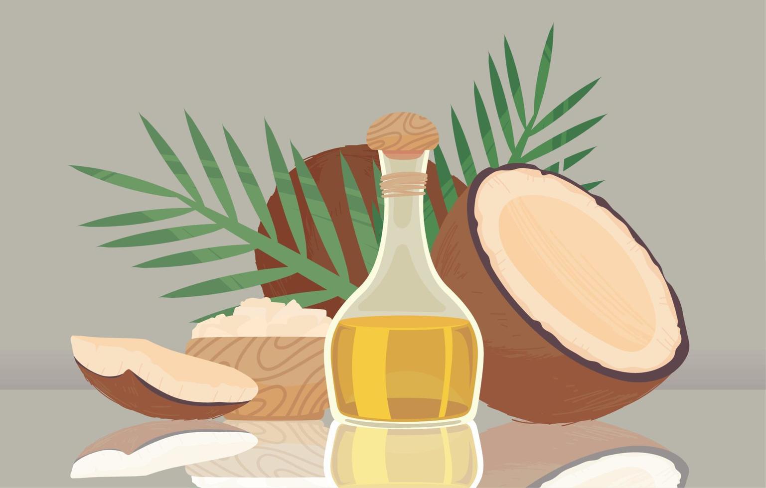 coconut and oil vector