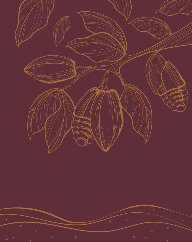 cacao tree leaves vector