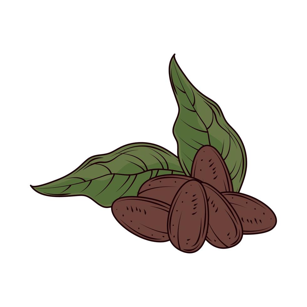 semillas y hojas de cacao vector