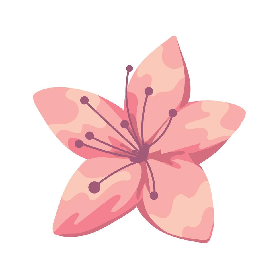 sakura flower icon vector