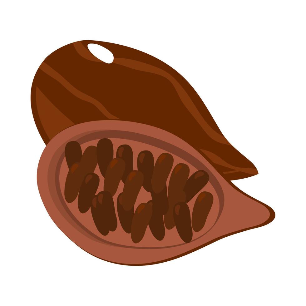 icono de superalimento de cacao vector