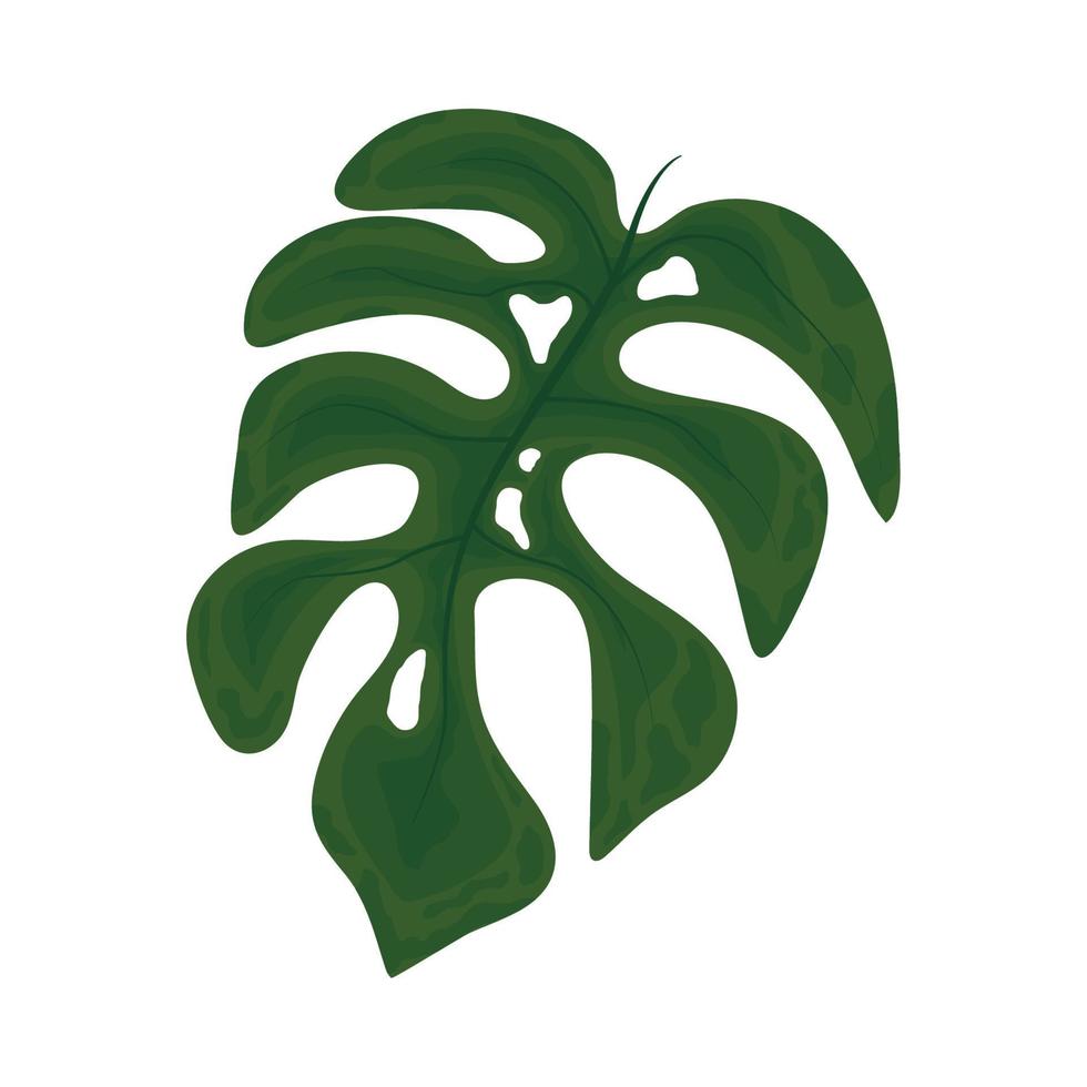 icono de hoja tropical vector