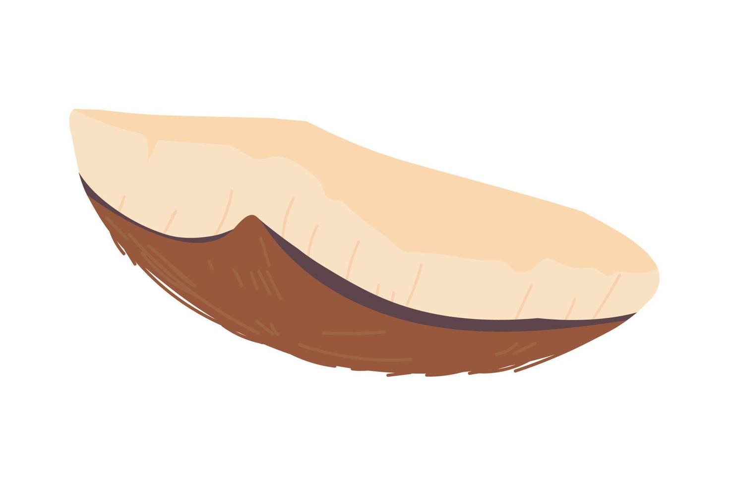 slice coconut icon vector