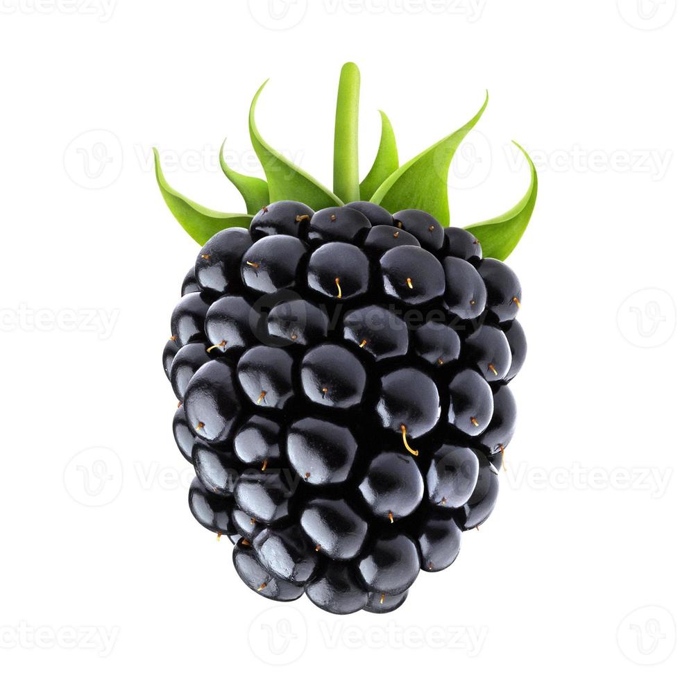 Blackberry isolated on white background with clipping path photo