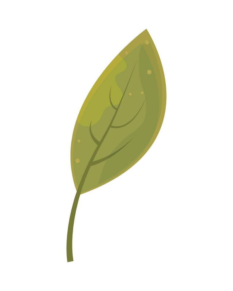 green leaf icon vector