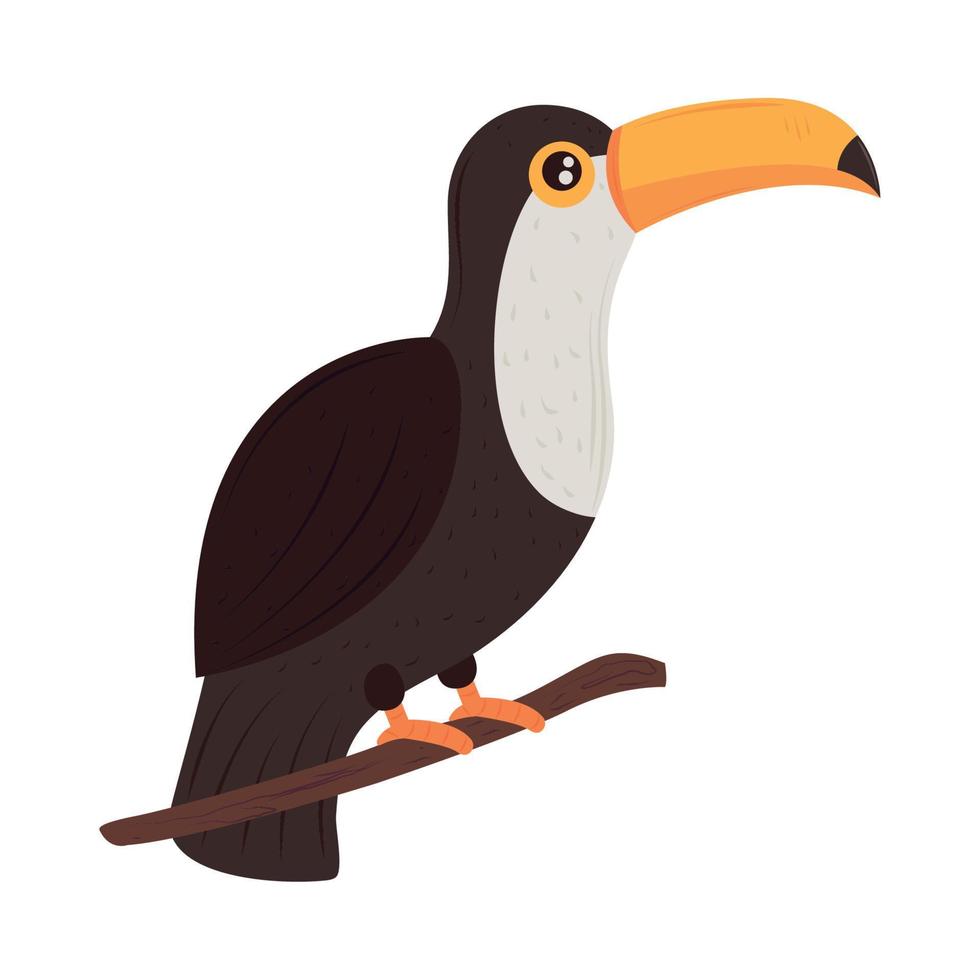 toucan on branch vector