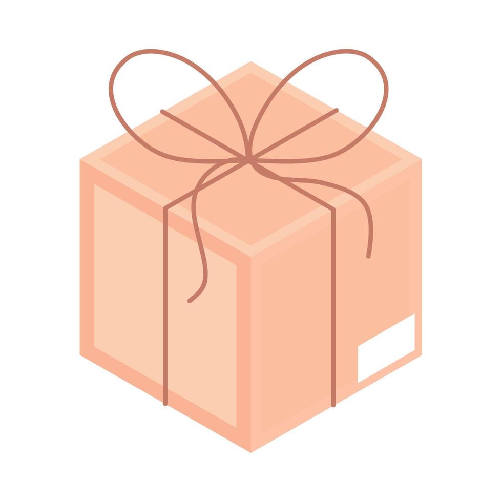 delivery package icon vector