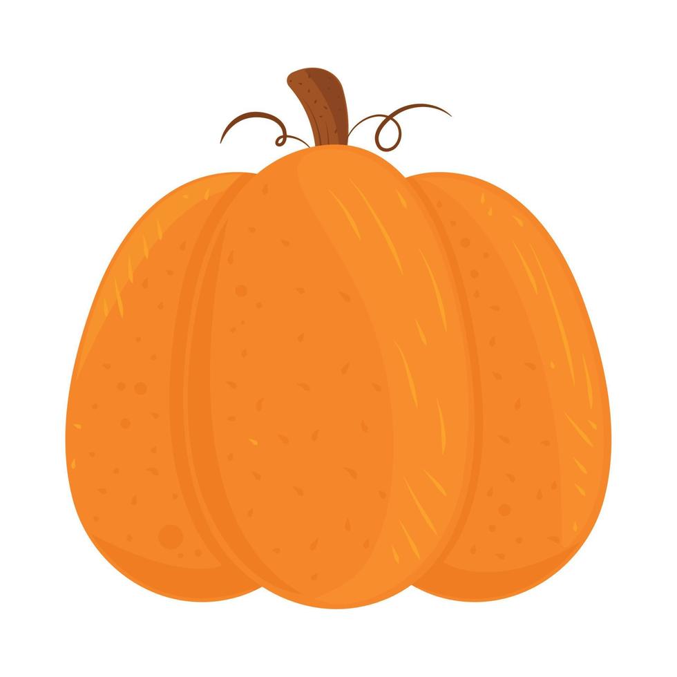 icono de vegetales de calabaza vector